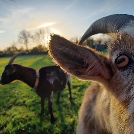 Mon Savoureux Jardin Challain-la-Potherie