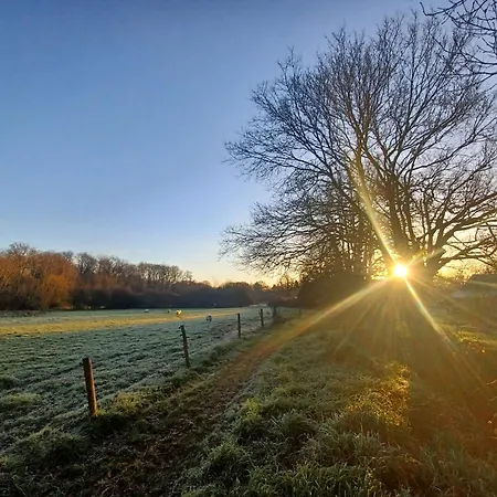 Mon Savoureux Jardin * Challain-la-Potherie